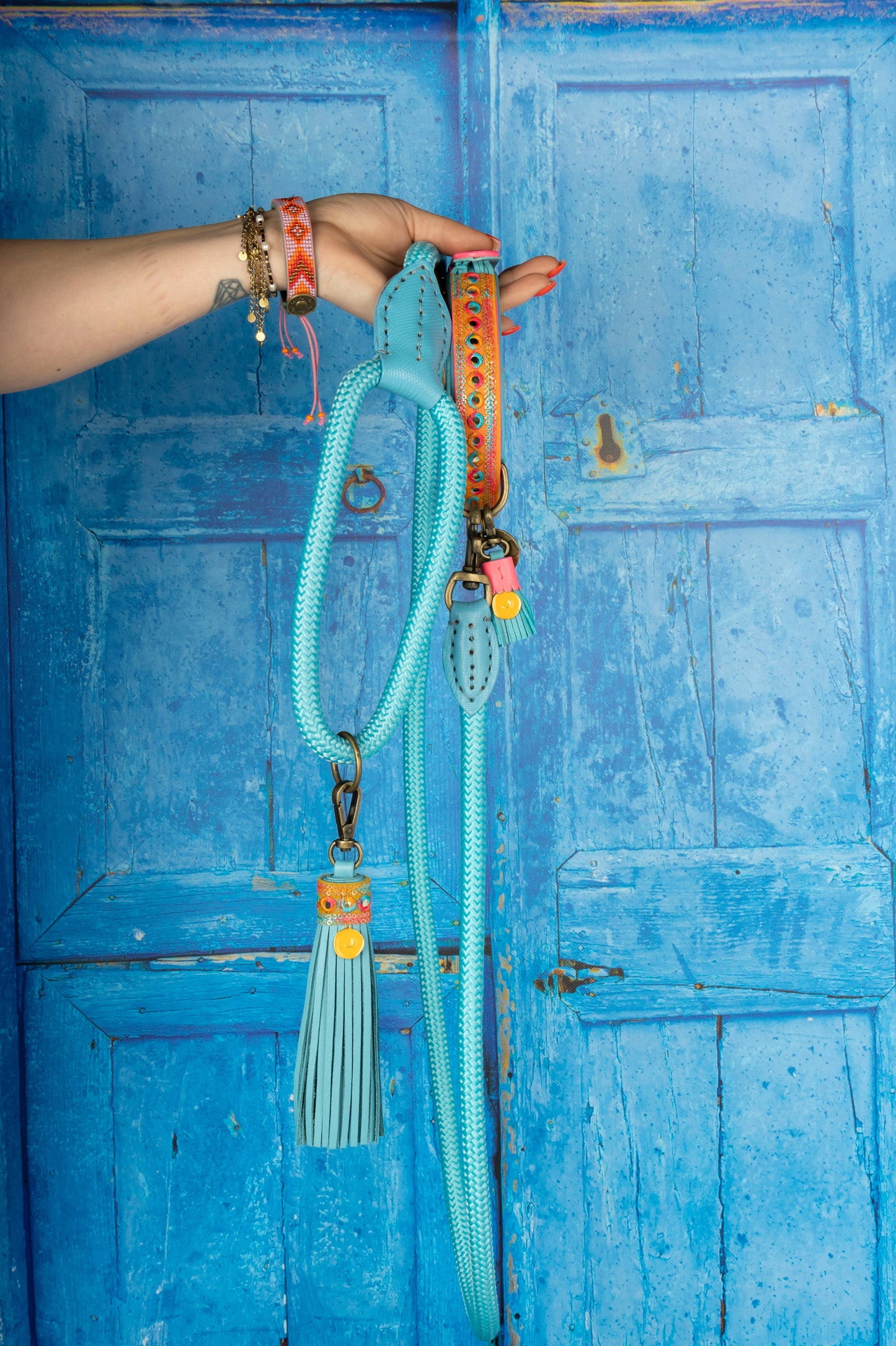 Dog with a Mission - Indian Summer Halsband
