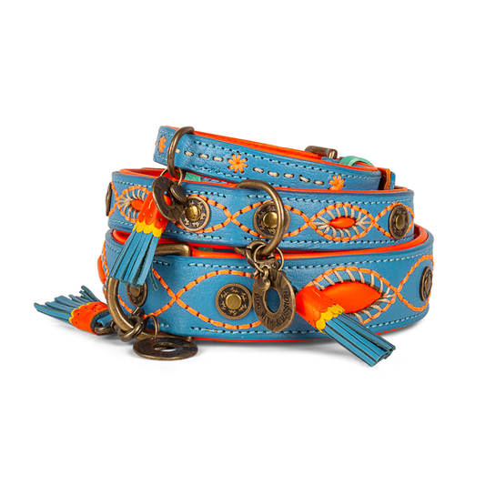 Dog with a Mission - Jones Halsband