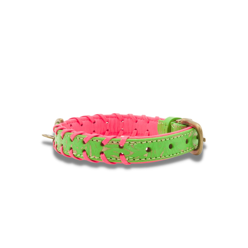 Dog with a Mission - Watermelon Sugar Halsband