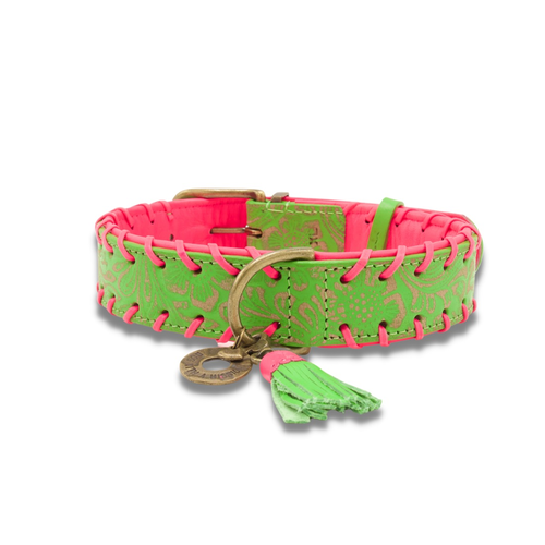 Dog with a Mission - Watermelon Sugar Halsband