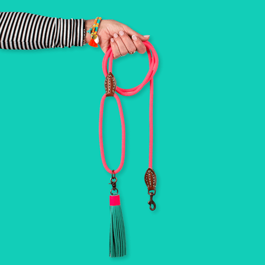 Dog with a Mission - Sugarbabe Hundeleine L