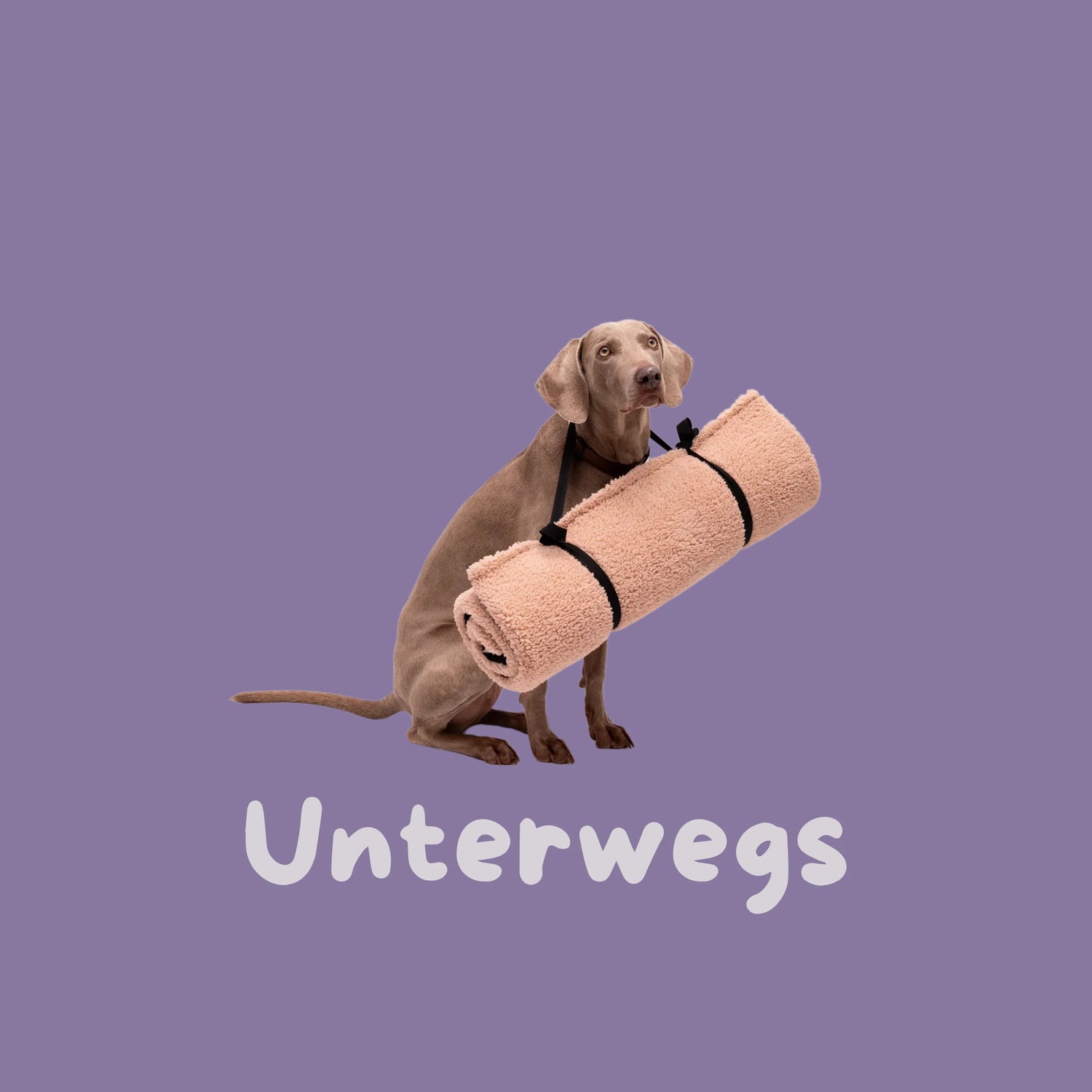 Gadgets für unterwegs & Reisezubehör