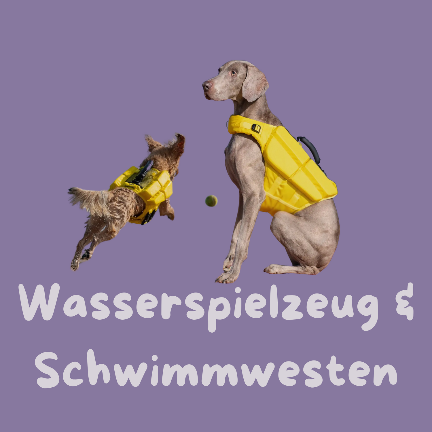 Wasserspielzeug & Schwimmwesten