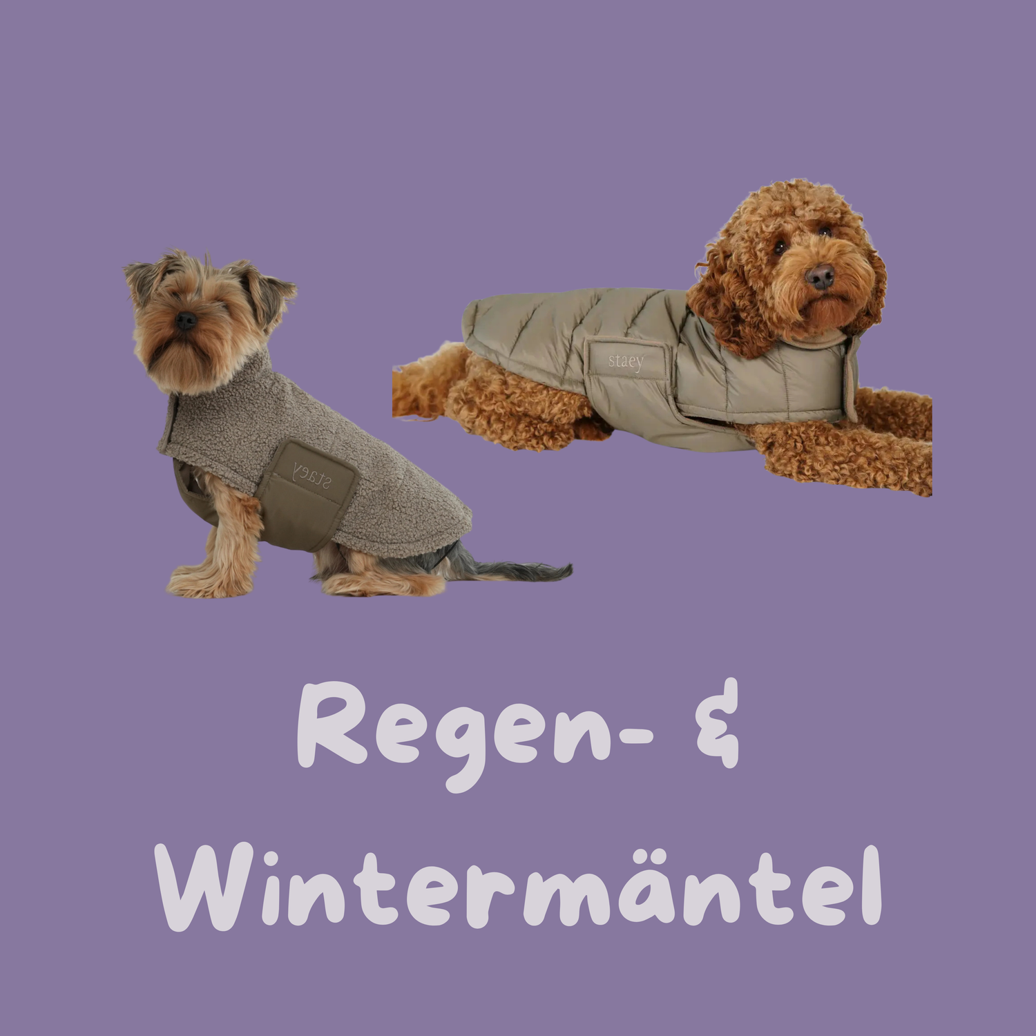 Regen- & Wintermäntel