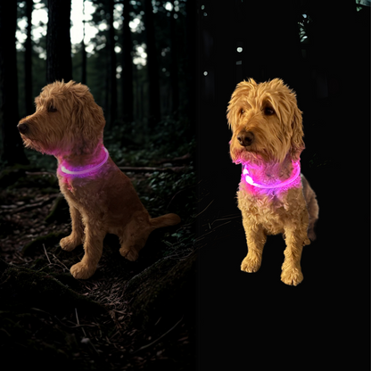 LED-Leuchthalsband für Hunde, USB-Aufladung