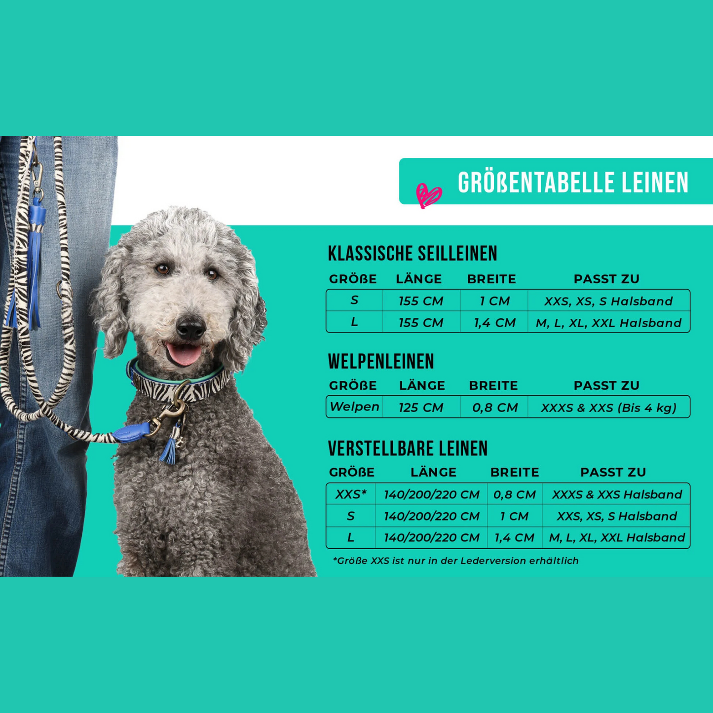 Dog with a Mission - Extra Lang Sugarbabe Hundeleine L