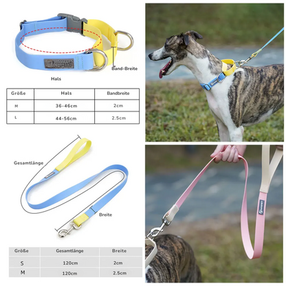 Hunde-Halsband + Leinen-Set „Solid“ aus der Glutinous Series