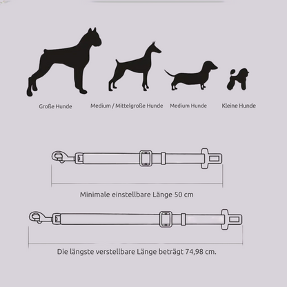 Hunde-Anschnallgurt fürs Auto