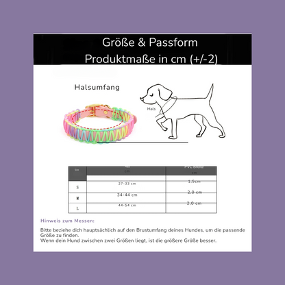 Halsband und Leinen-Set “Rainbow Love”