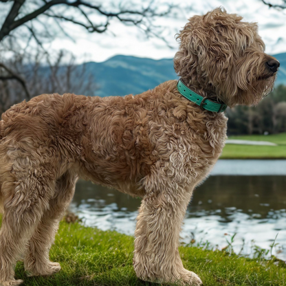 Dog with a Mission - Rebel Halsband