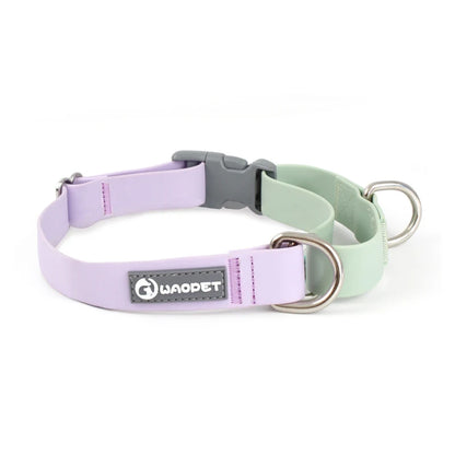 Hunde-Halsband + Leinen-Set „Solid“ aus der Glutinous Series