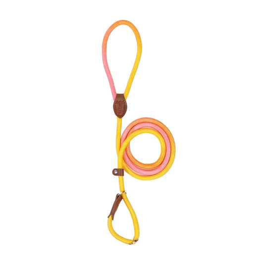 Retriever Nylon-Leine "Gradient"