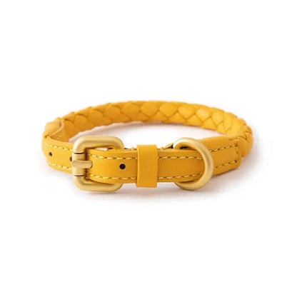 Leder Hundehalsband und Leine Set "Braided'N'Style"
