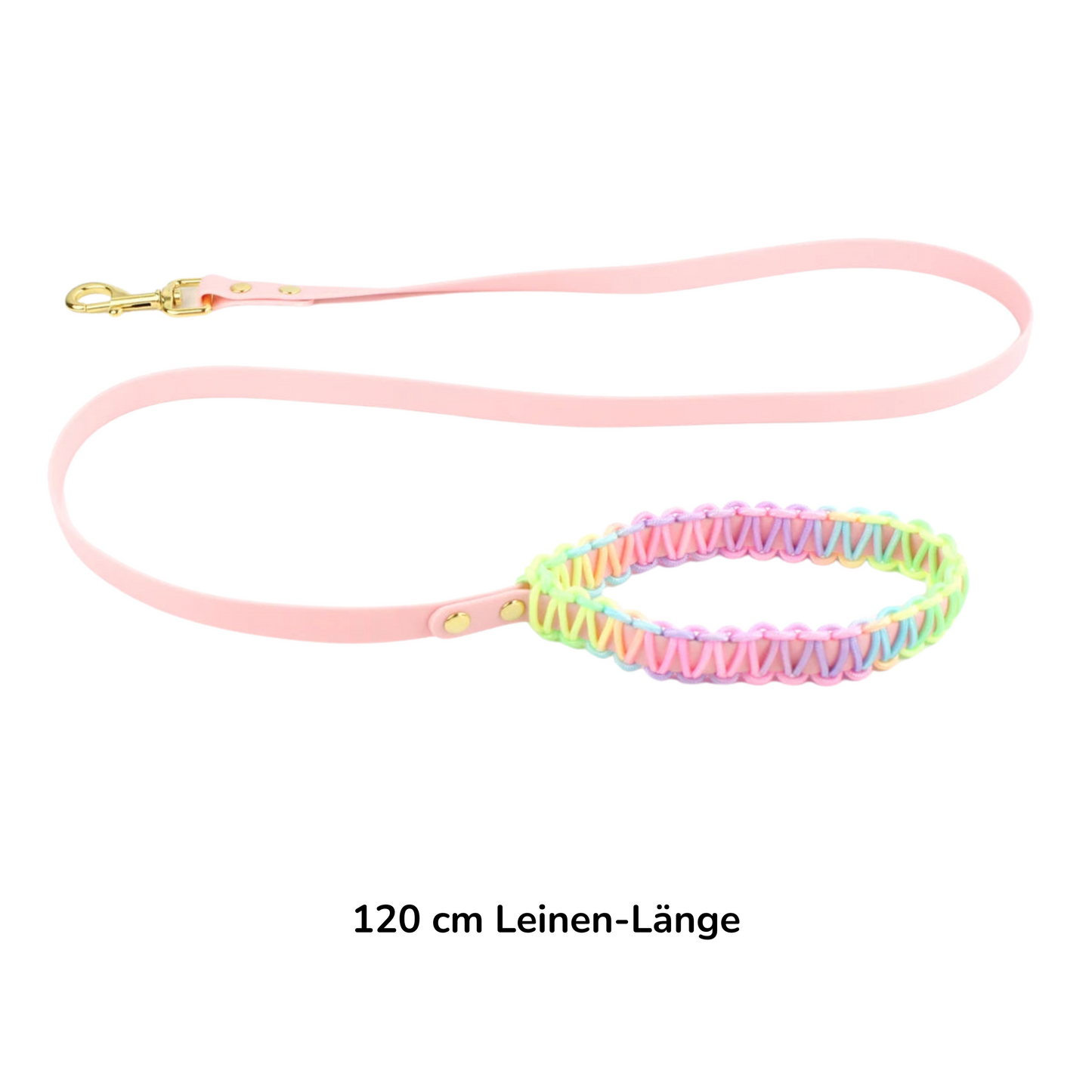 Halsband und Leinen-Set “Rainbow Love”