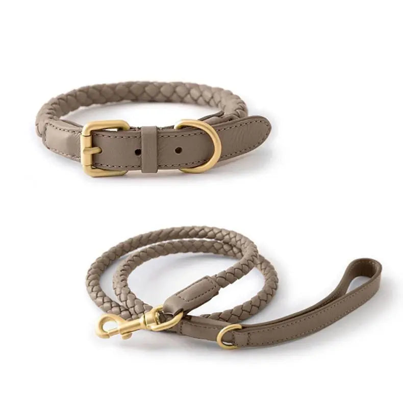 Leder Hundehalsband und Leine Set "Braided'N'Style"