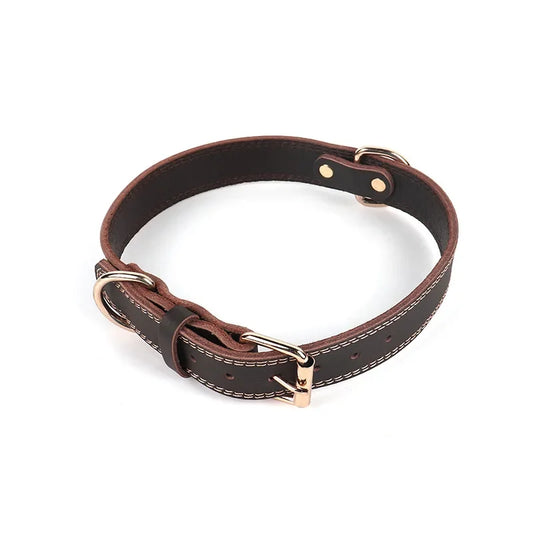 Elegantes Hundehalsband aus Rindsleder – Braun mit goldener Schnalle