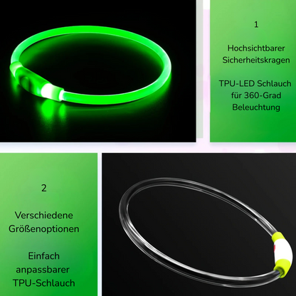 LED-Leuchthalsband für Hunde, USB-Aufladung