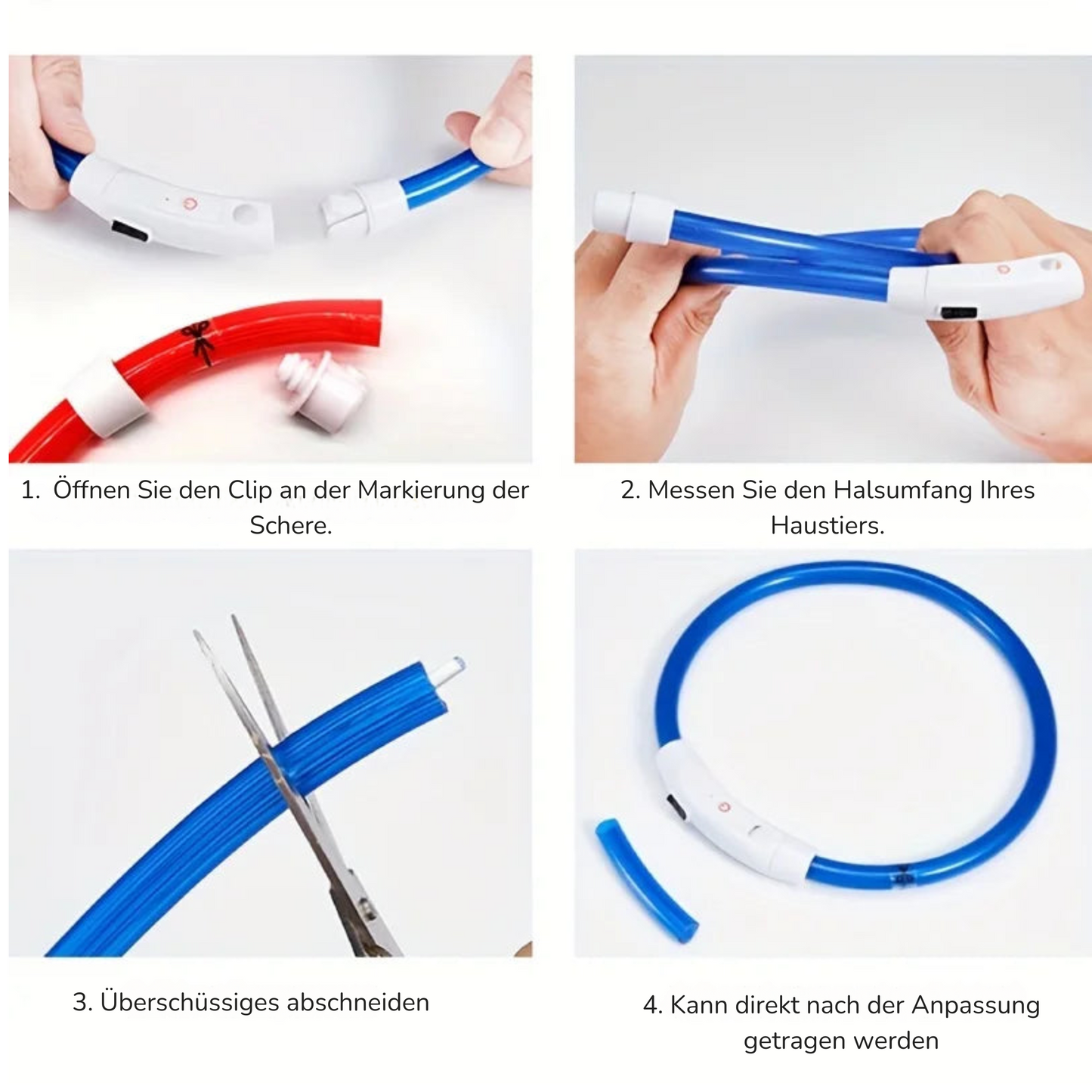 LED-Leuchthalsband für Hunde, USB-Aufladung