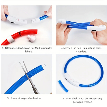 LED-Leuchthalsband für Hunde, USB-Aufladung