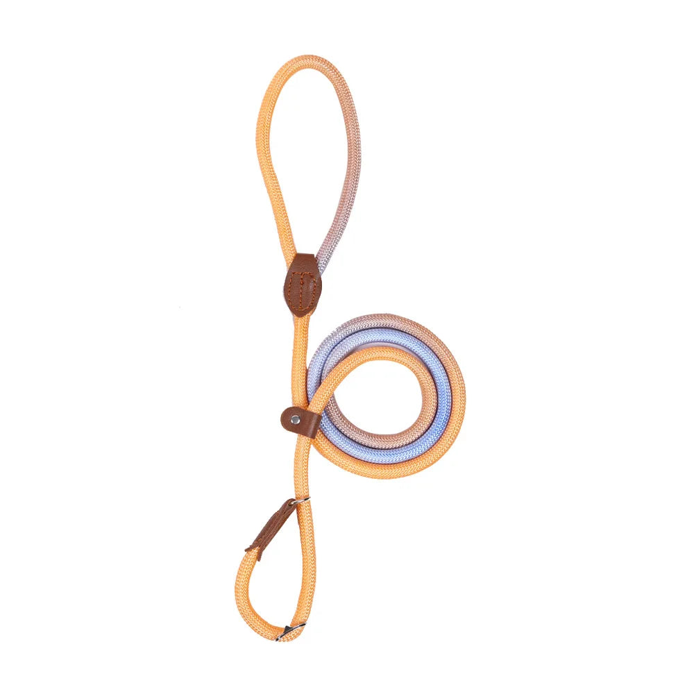 Retriever Nylon-Leine "Gradient"