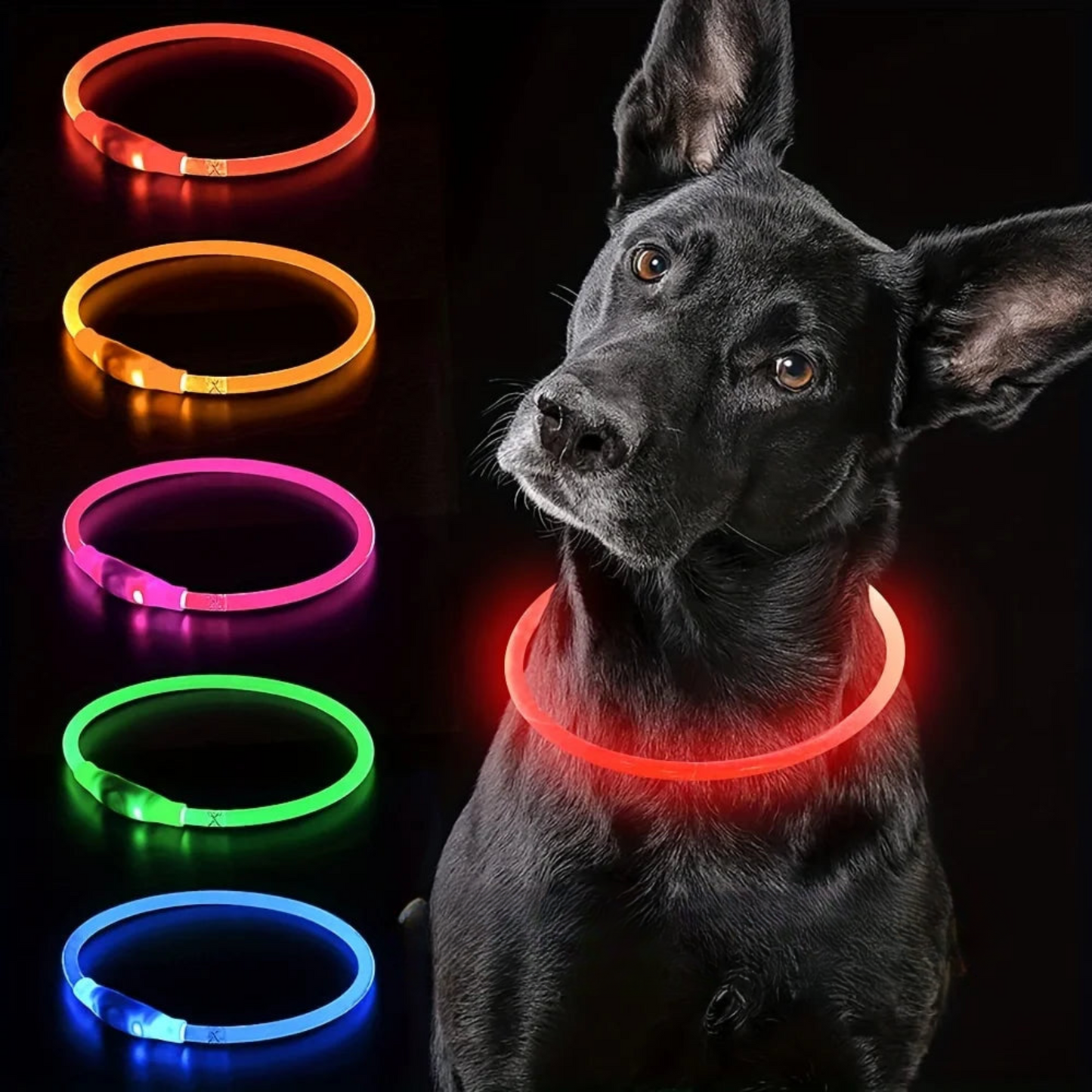 LED-Leuchthalsband für Hunde, USB-Aufladung