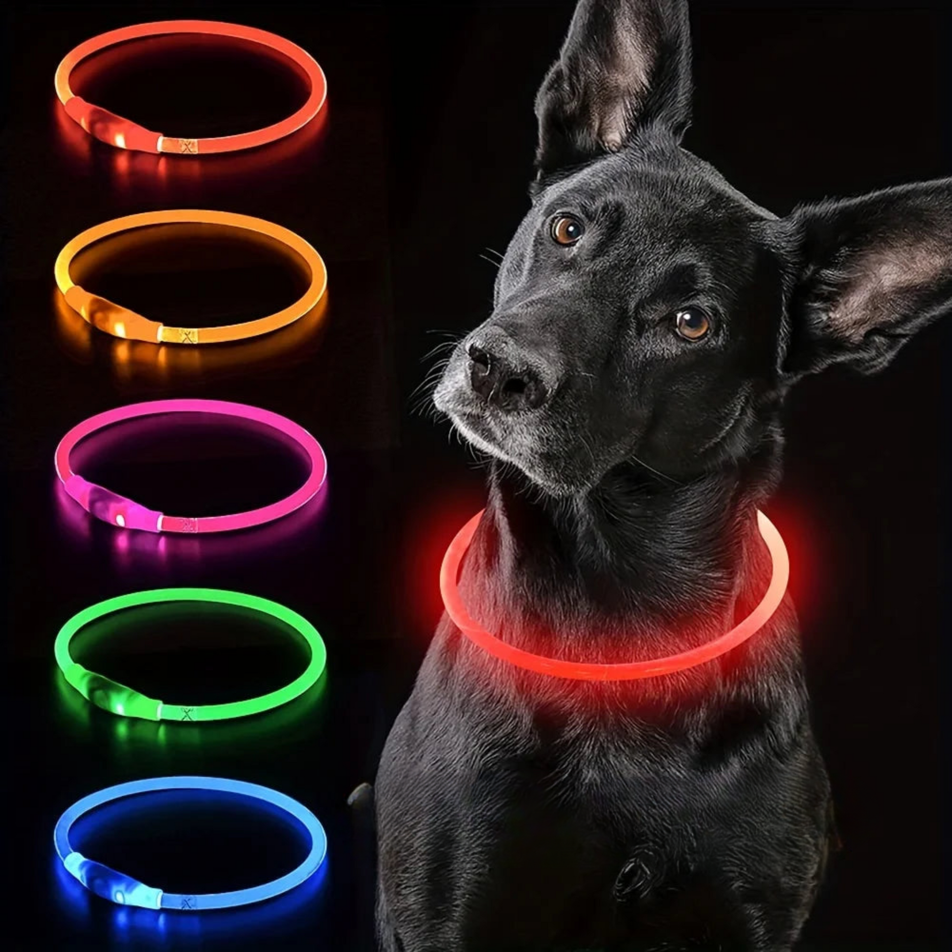 LED-Leuchthalsband für Hunde, USB-Aufladung