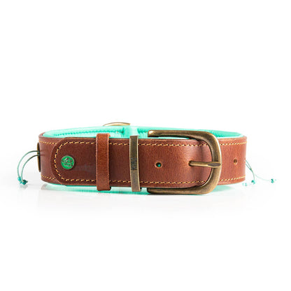 Dog with a Mission - Paddy Lee Halsband