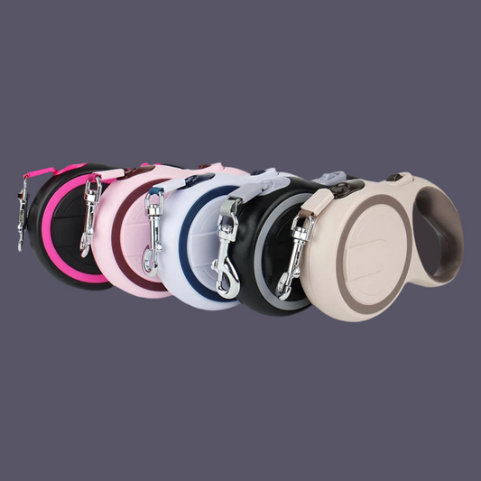3m / 5m Roll-Leine in modischen Farben