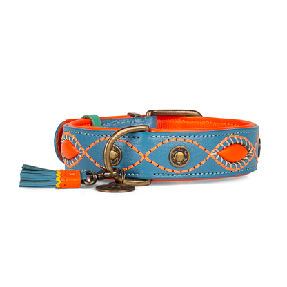 Dog with a Mission - Jones Halsband