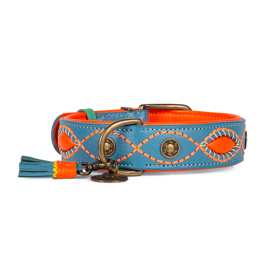 Dog with a Mission - Jones Halsband