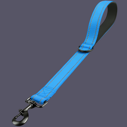 Kurzeleine, Führungsleine, Heavy Duty, Nylon
