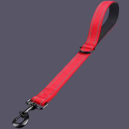 Kurzeleine, Führungsleine, Heavy Duty, Nylon