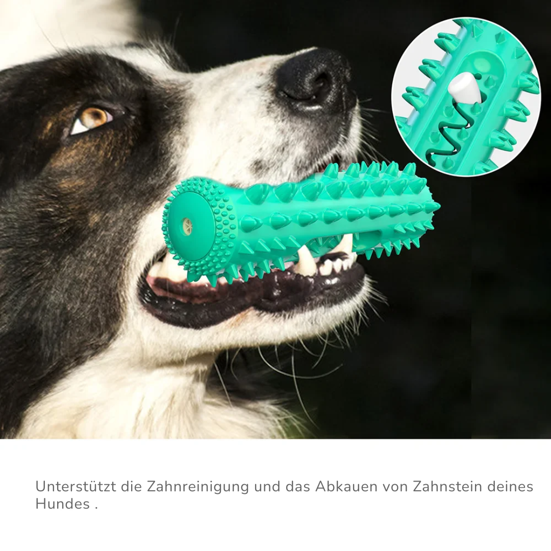 "Floaty" Wasserspielzeug zum Apportieren