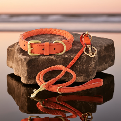Leder Hundehalsband und Leine Set "Braided'N'Style"