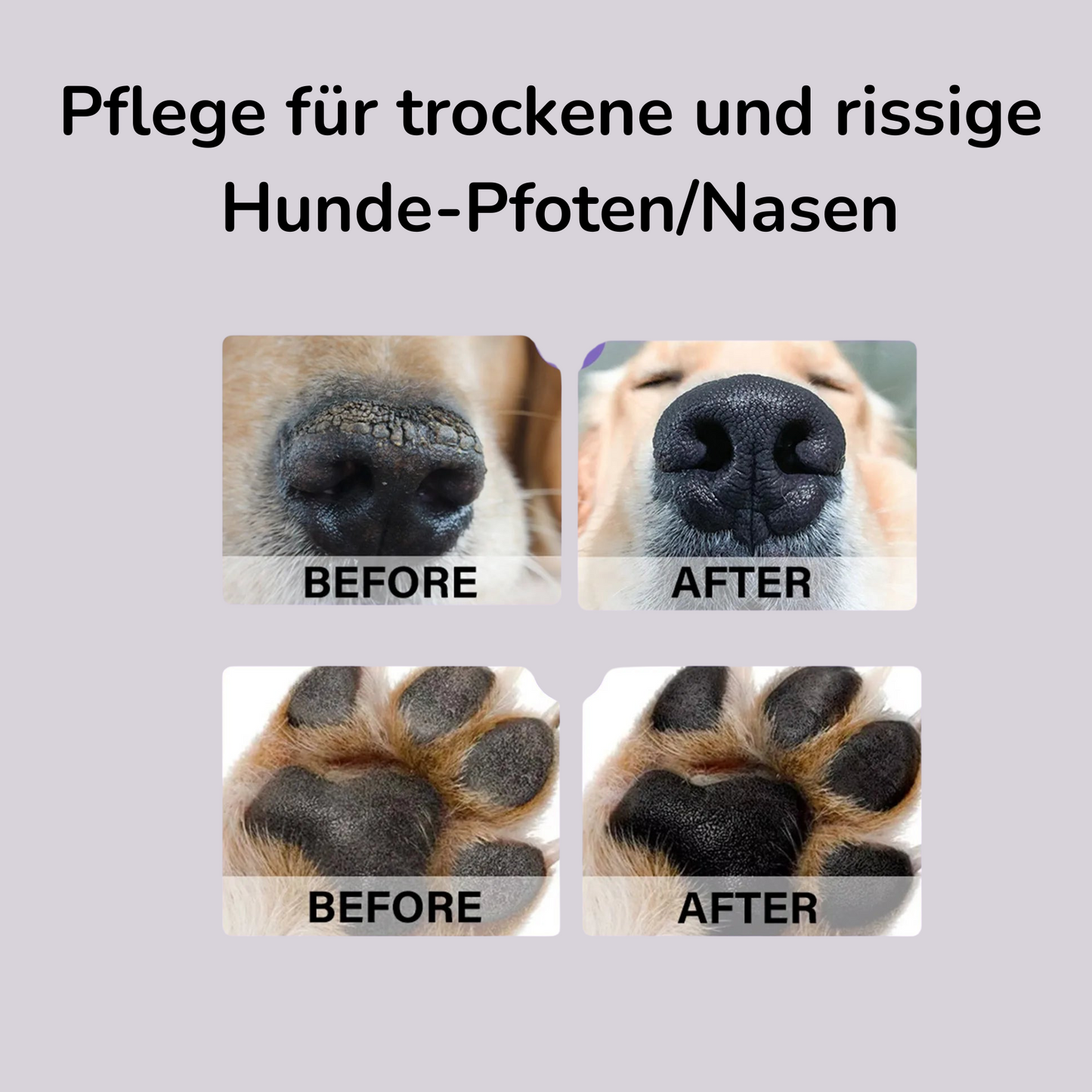 Hunde Pfotenpflege Balsam