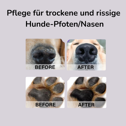 Hunde Pfotenpflege Balsam