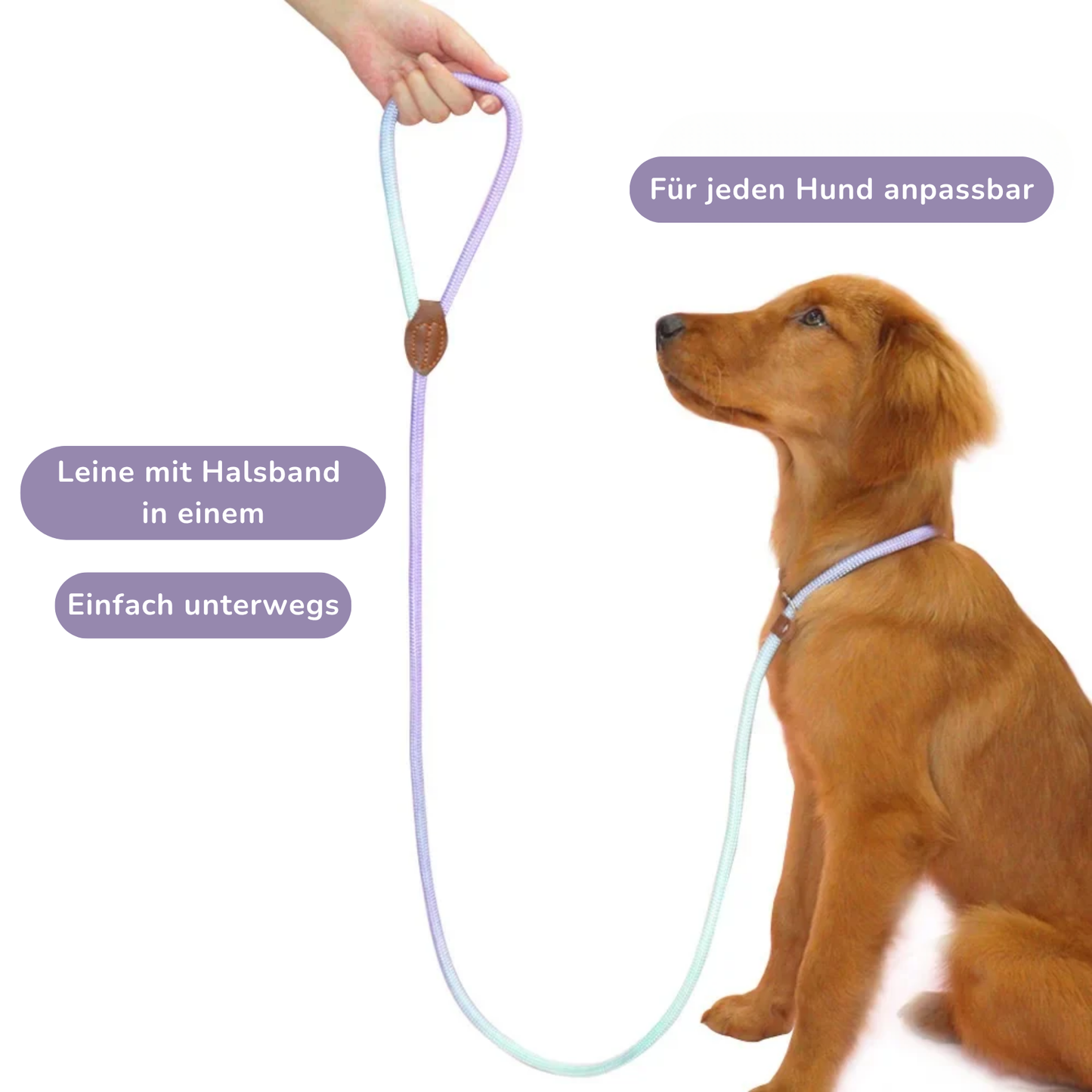 Retriever Nylon-Leine "Gradient"