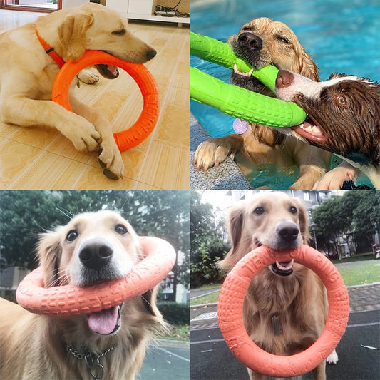 Hunde-Kauring aus Gummi "Chewy"