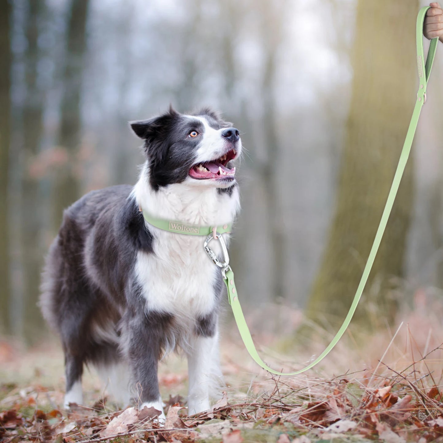 "Wolfone" Wasserfeste PVC-Hundeleine mit großer Handschlaufe