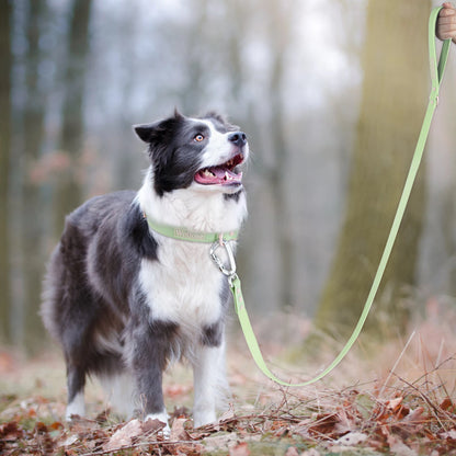 "Wolfone" Wasserfeste PVC-Hundeleine mit großer Handschlaufe