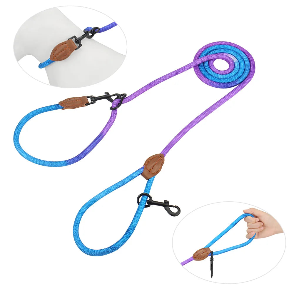 Doppelseitige Crossbody Hundeleine "Swirl"