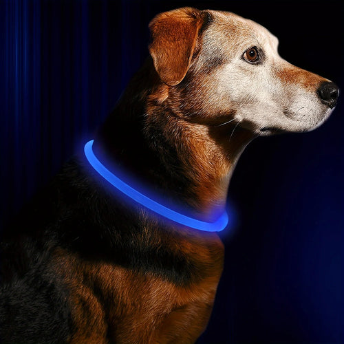 LED-Leuchthalsband für Hunde, USB-Aufladung