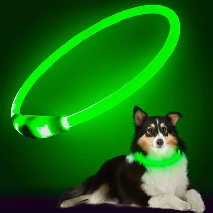 LED-Leuchthalsband für Hunde, USB-Aufladung