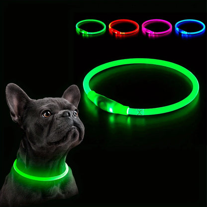 LED-Leuchthalsband für Hunde, USB-Aufladung