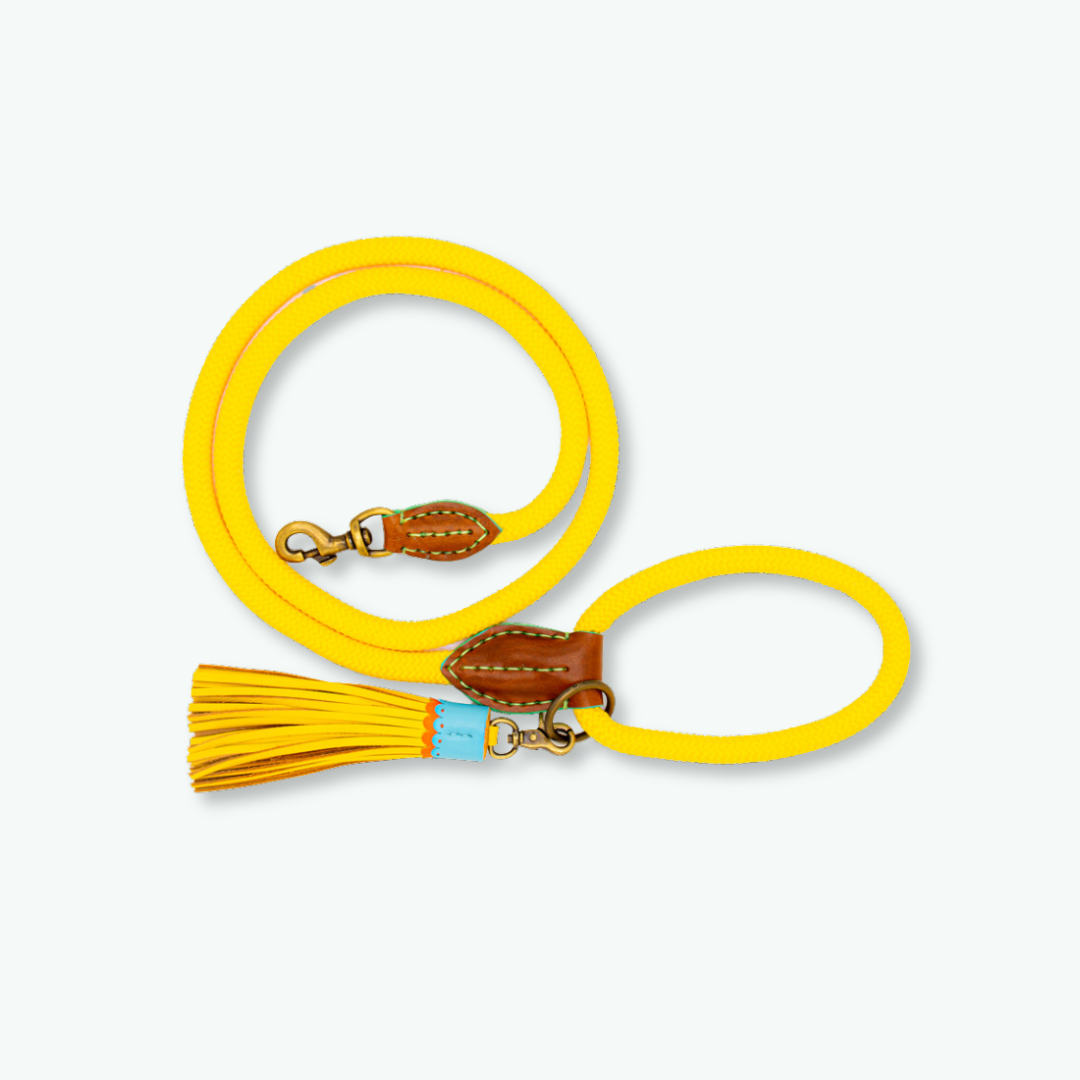 Gelbe Hundeleine, 165 cm