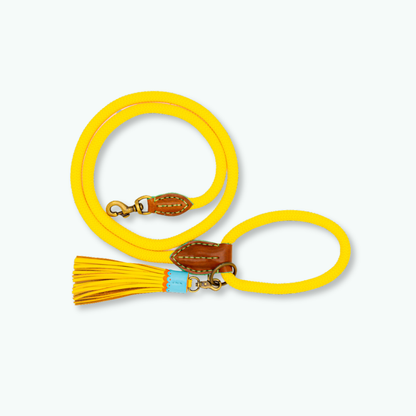 Gelbe Hundeleine, 165 cm