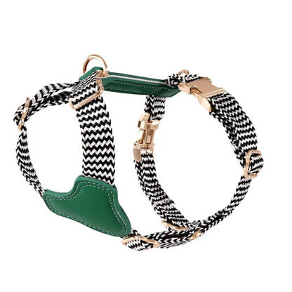 Gestreiftes Nylon-Leder Kombi-Set  "ZicZac" - Leine, Halsband, Geschirr