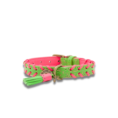 Dog with a Mission - Watermelon Sugar Halsband