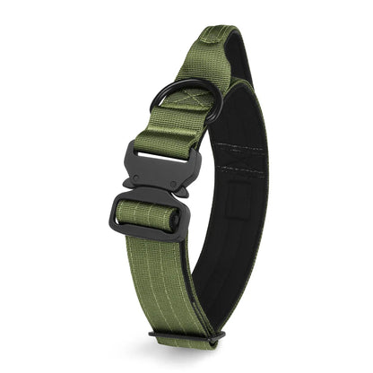 Taktisches Halsband für mittelgroße + große Hunde