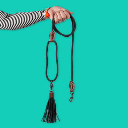 Dog with a Mission - Hundeleine Bowie S